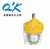 供应海洋王防爆灯BPC8731ON防爆平台灯